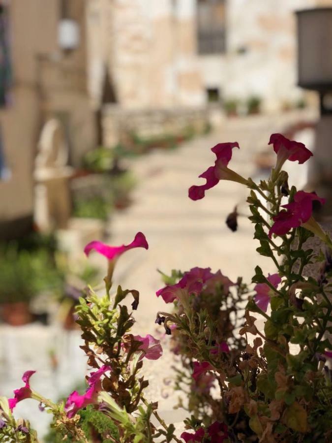 Casa Rural Mirador Bocairent Εξωτερικό φωτογραφία